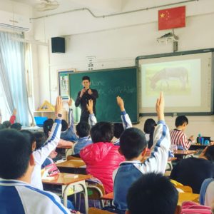 China’s Public Education System